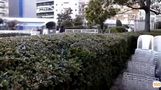 狠狠推亚洲在线欧美,国产精品免费大片一区二区高清